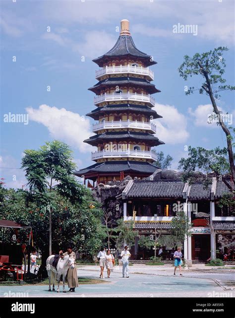 tang city singapore